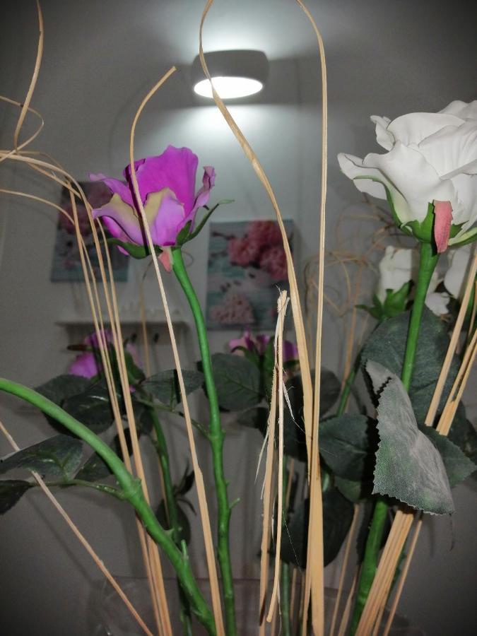 Apartament La Casa Di Chiara Taviano  Zewnętrze zdjęcie